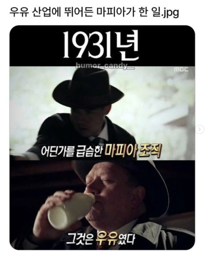 우유산업에 뛰어든 마피아가 한 일
