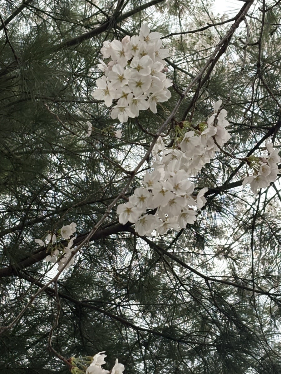 모학촌 사진 1