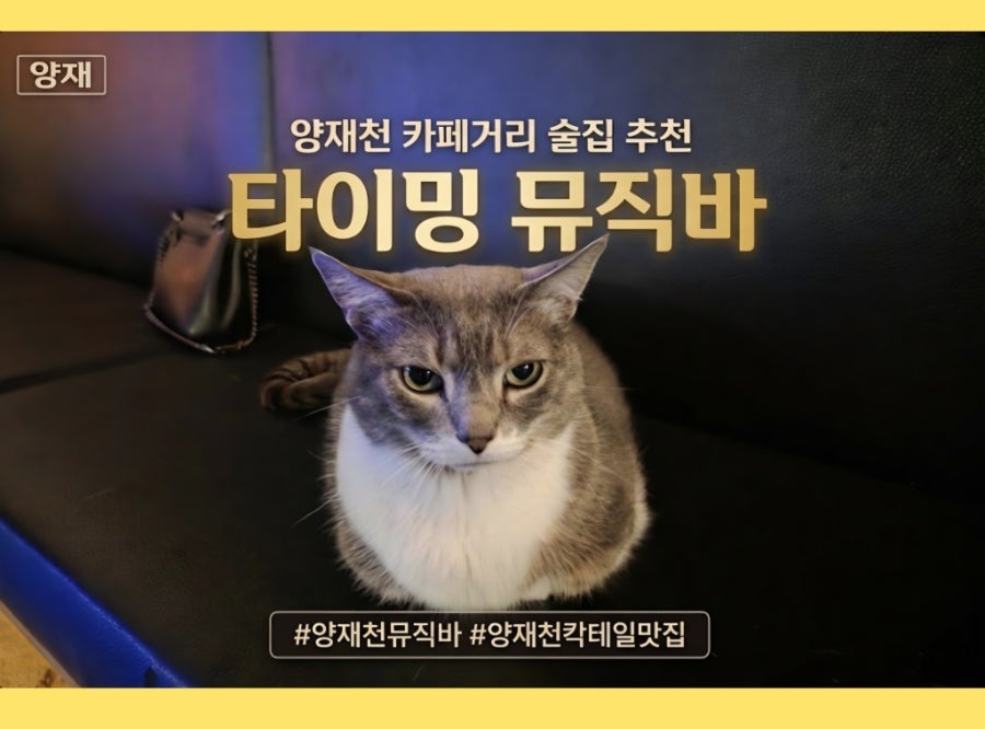 타이밍 뮤직바 사진 1
