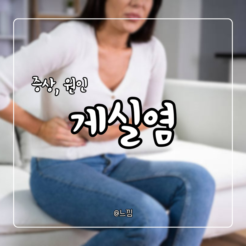 게실염 증상 원인 치료 대장게실염