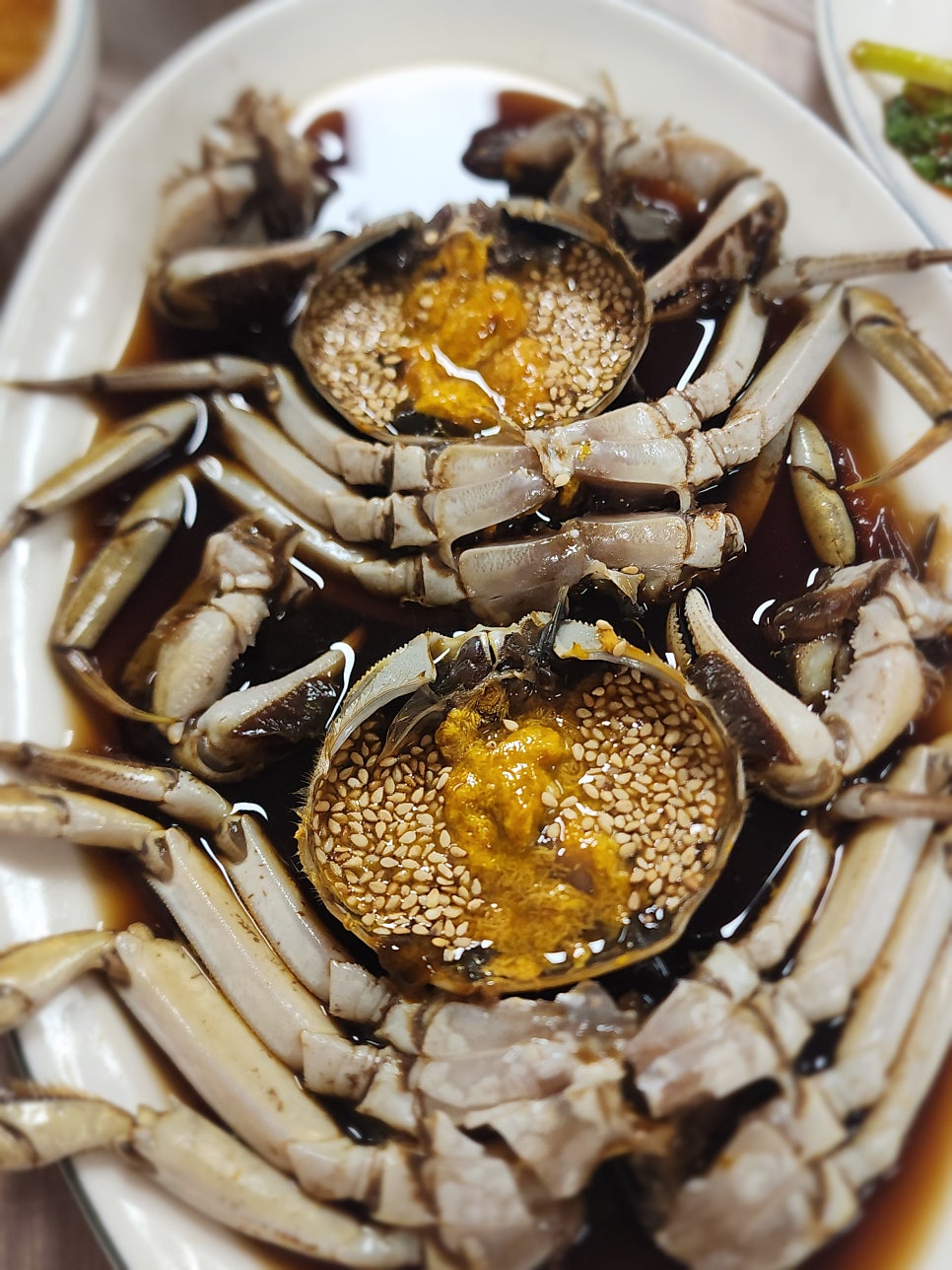 빼뽀 참게 사진 6