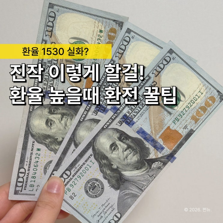  "해외여행 환전, 이렇게 하면 돈 날려요" 환율 높을 때 다들 하는 흔한 실수 5가지