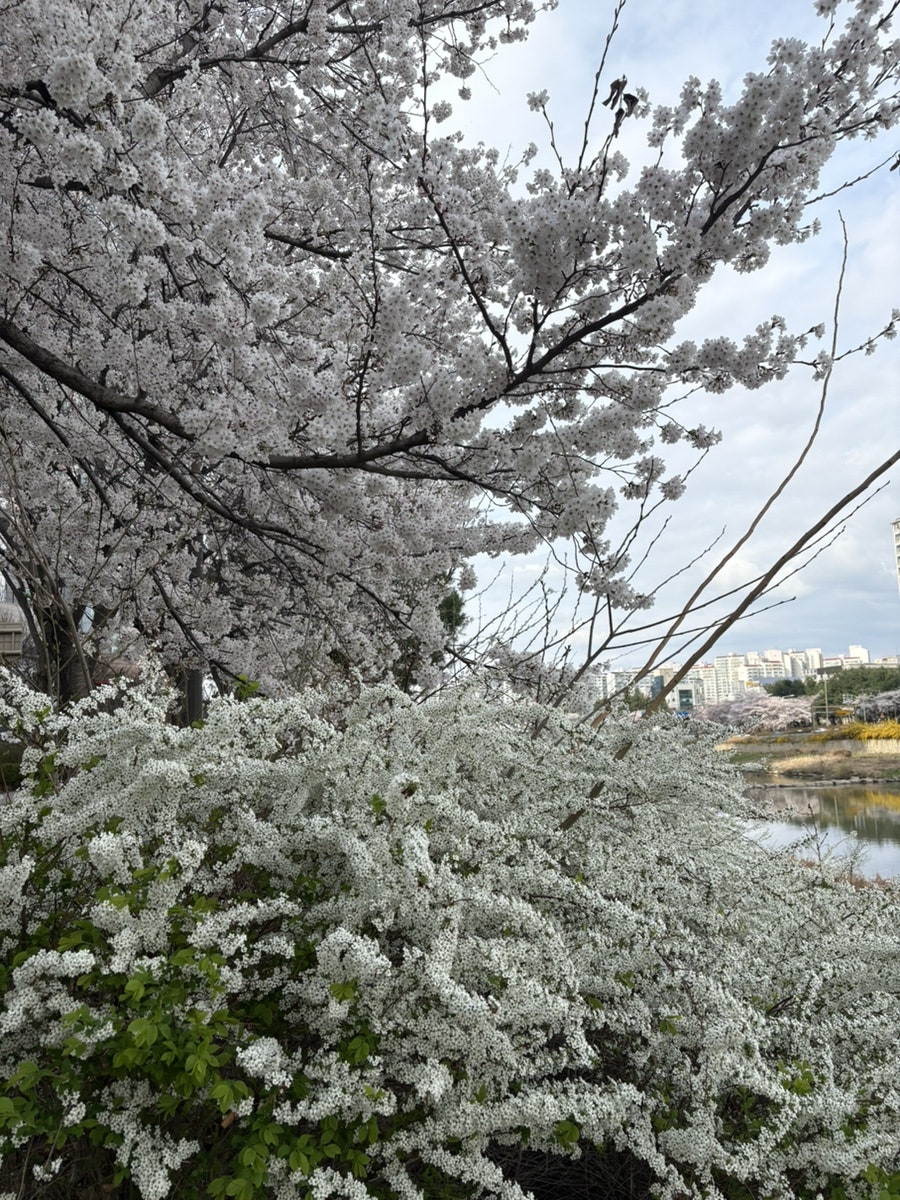 모학촌 사진 5