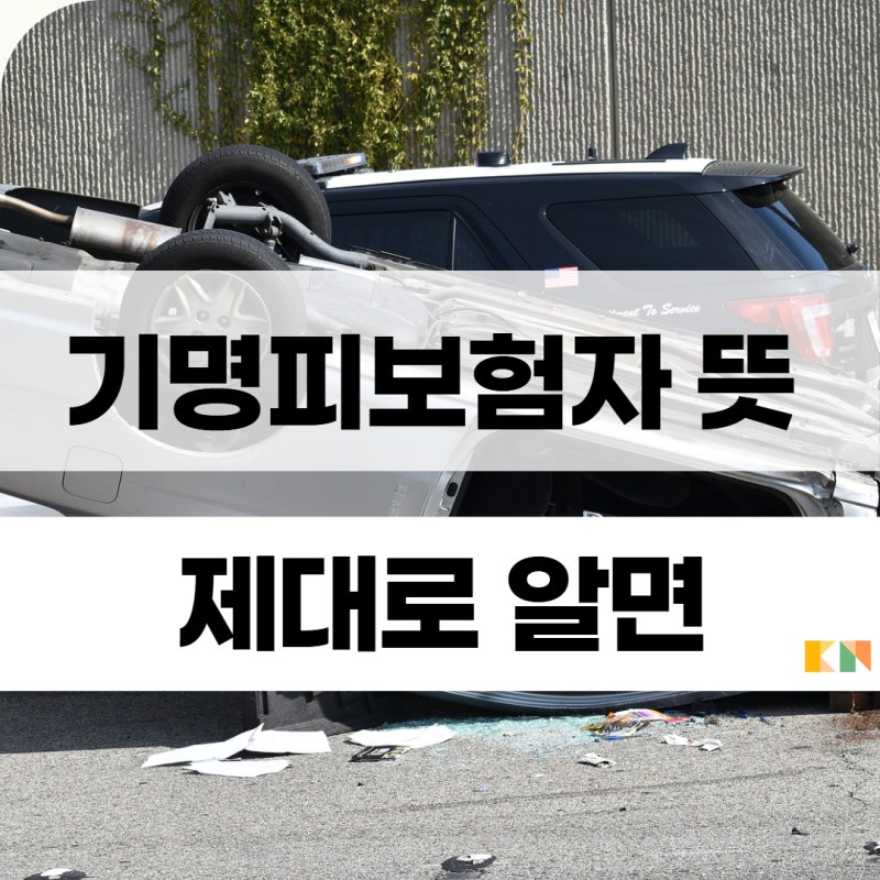 기명피보험자 뜻이 뭐예요? 가족한정 vs 기명피보험자 차이 충격 비교
