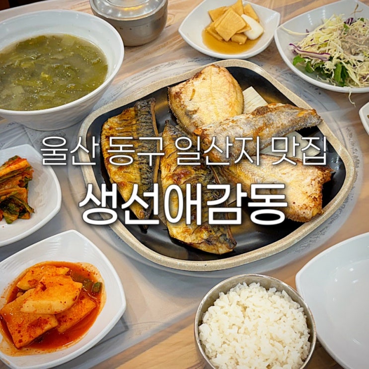  울산 동구 일산지 맛집 생선애감동 아침 식사 대왕암 근처 생선구이 밥집 한정식 현지인 추천 한식 가족외식
