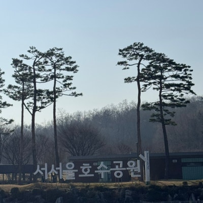 사진 6
