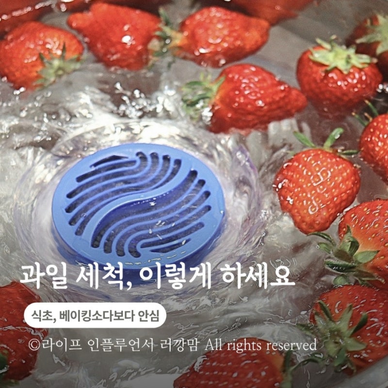 딸기 잔류농약 제거, 과일세척기로 해결 | 초음파 과일세척기 후기