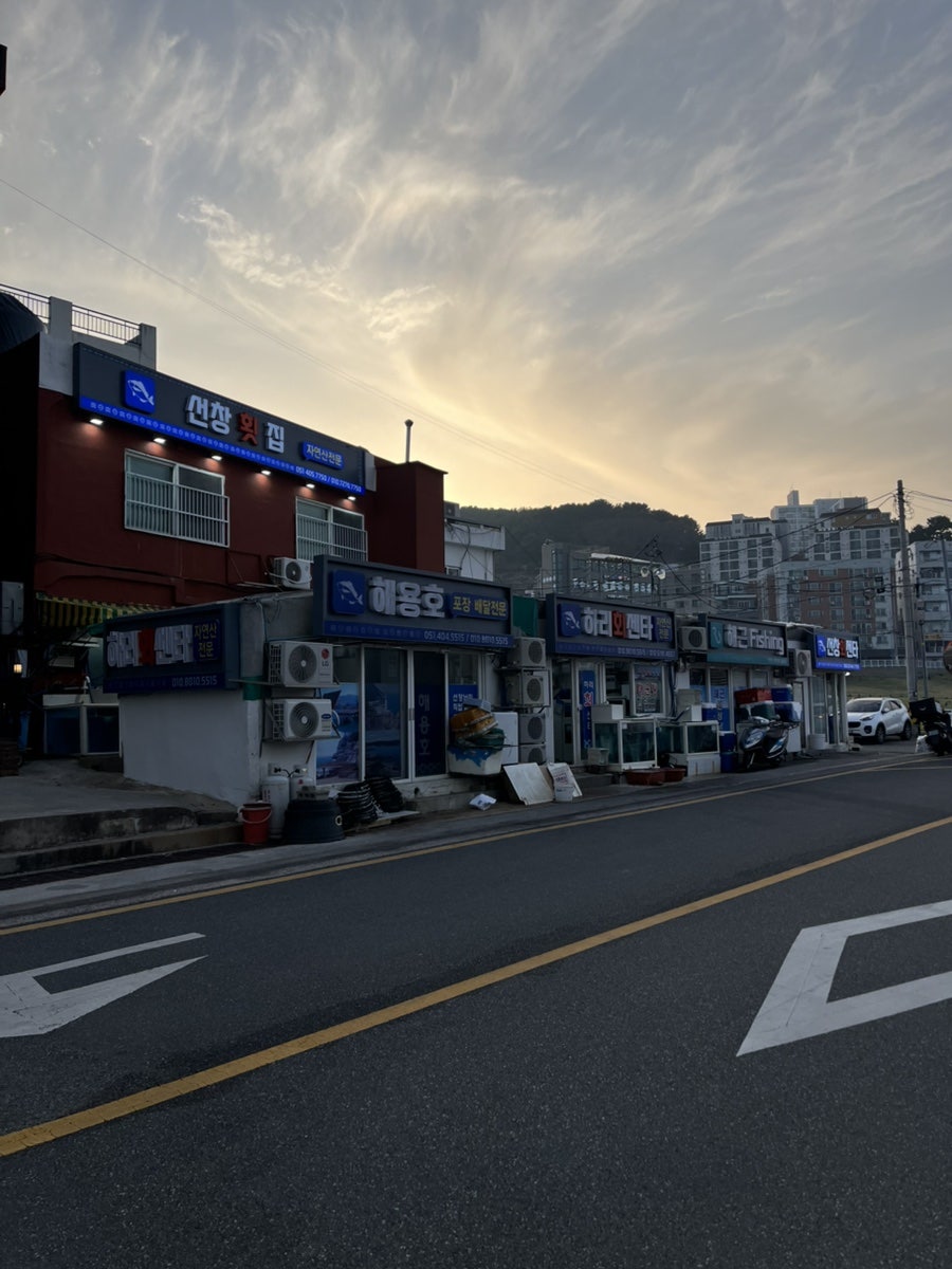 하리회센타 사진 1