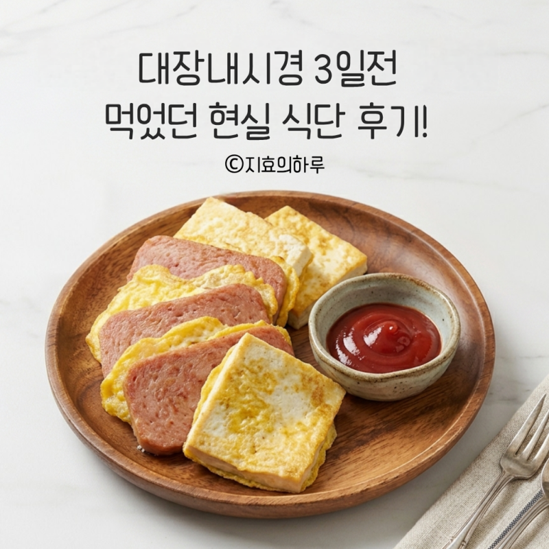 대장내시경 3일전 먹었던 현실 식단!