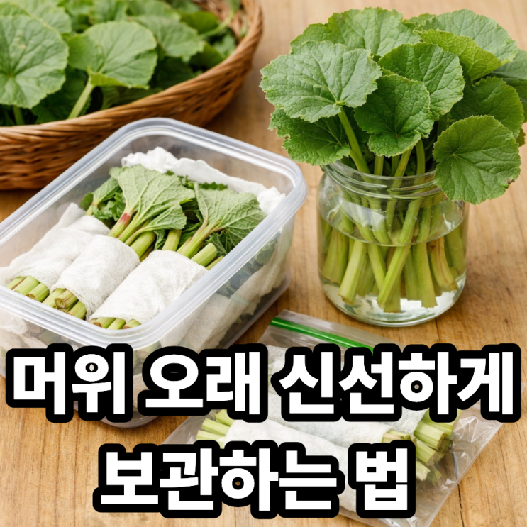  머위 보관법, 신선하게 오래 유지하는 꿀팁 총정리 