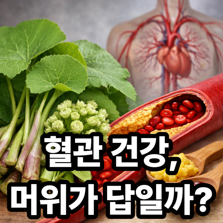  머위와 혈관 건강, 콜레스테롤에 미치는 영향 제대로 알아보기