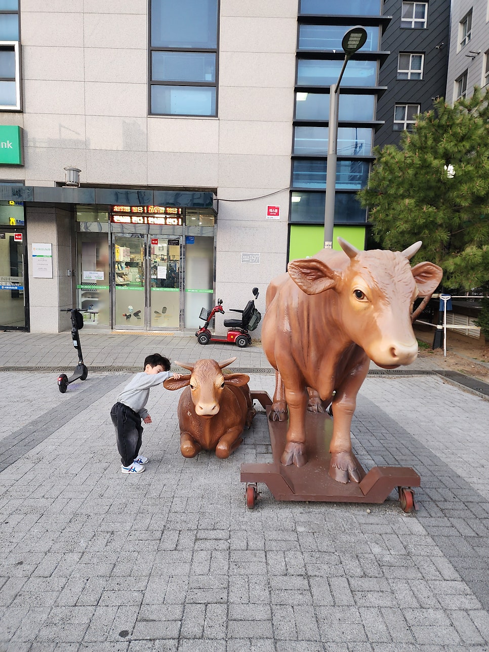 영주축협한우프라자 청계산역점 사진 3