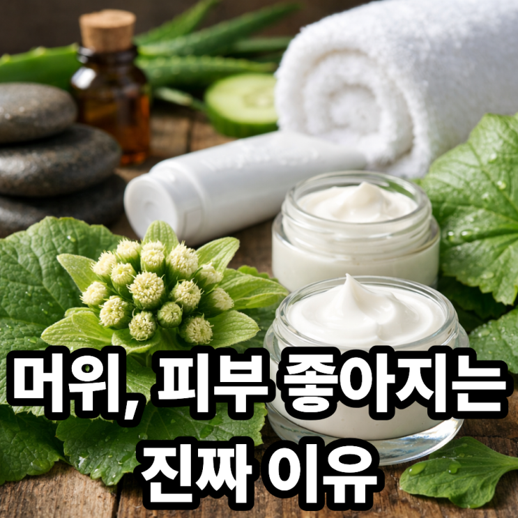  머위가 피부 건강에 미치는 영향