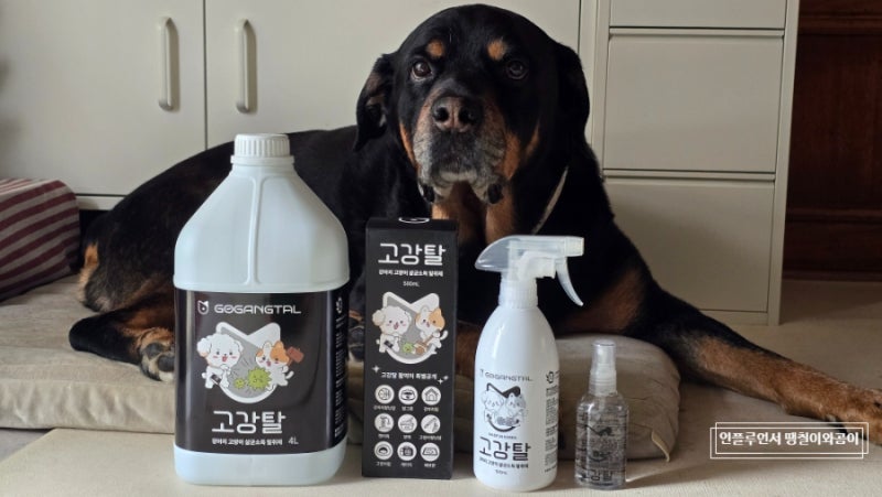 반려동물 살균소독 탈취제 고강탈 강아지 고양이 냄새제거 용품