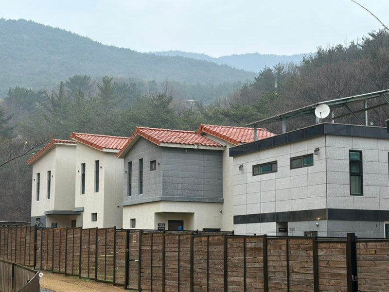 사진 7