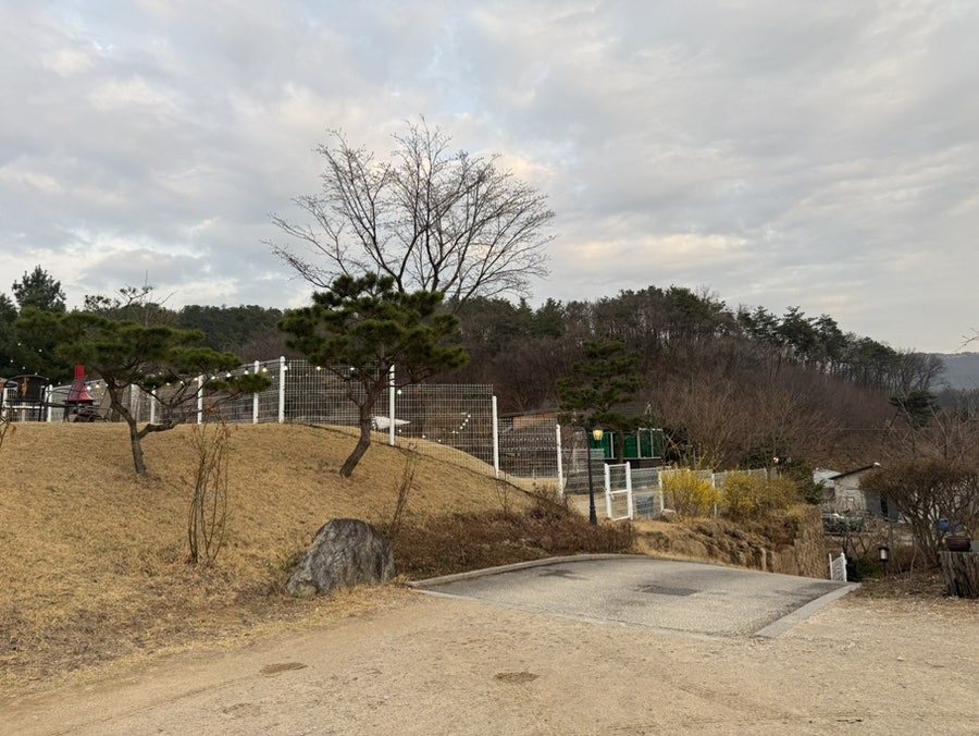 그린그린그린 사진 2