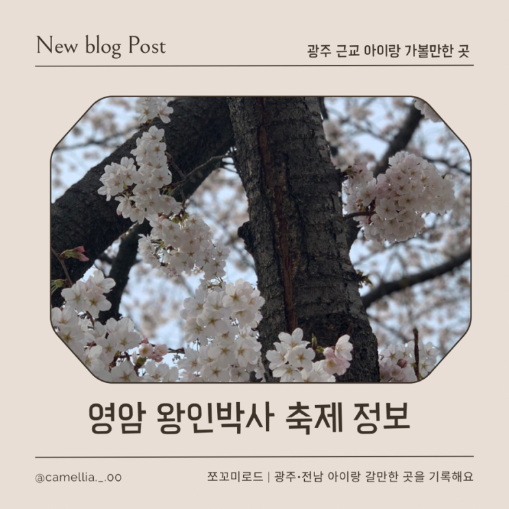  2026년 영암 왕인박사 축제 & 벚꽃길 총정리 (일정·주차·공연까지 한 번에)