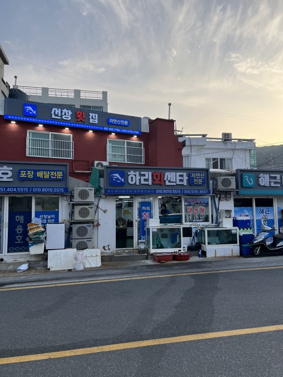 하리회센타 사진 2