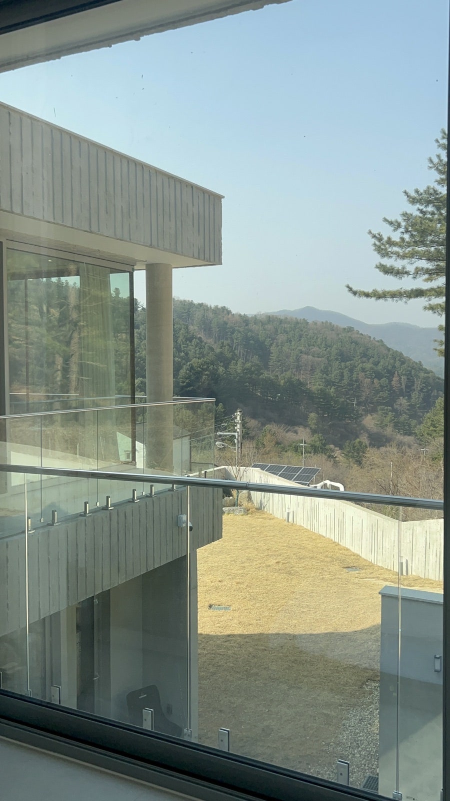 포포레 사진 6