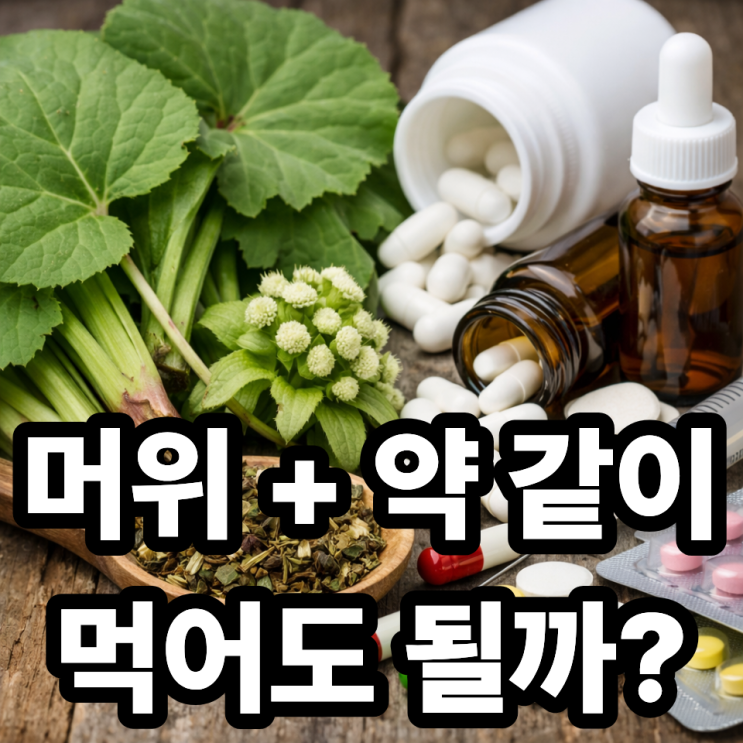  머위와 약물 상호작용, 꼭 알아야 할 주의사항 총정리