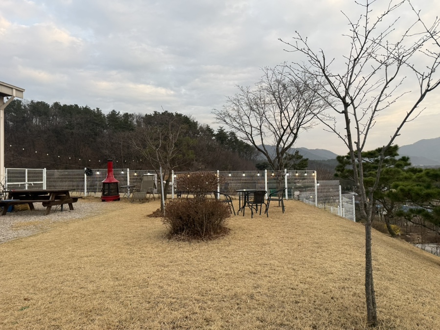 그린그린그린 사진 5