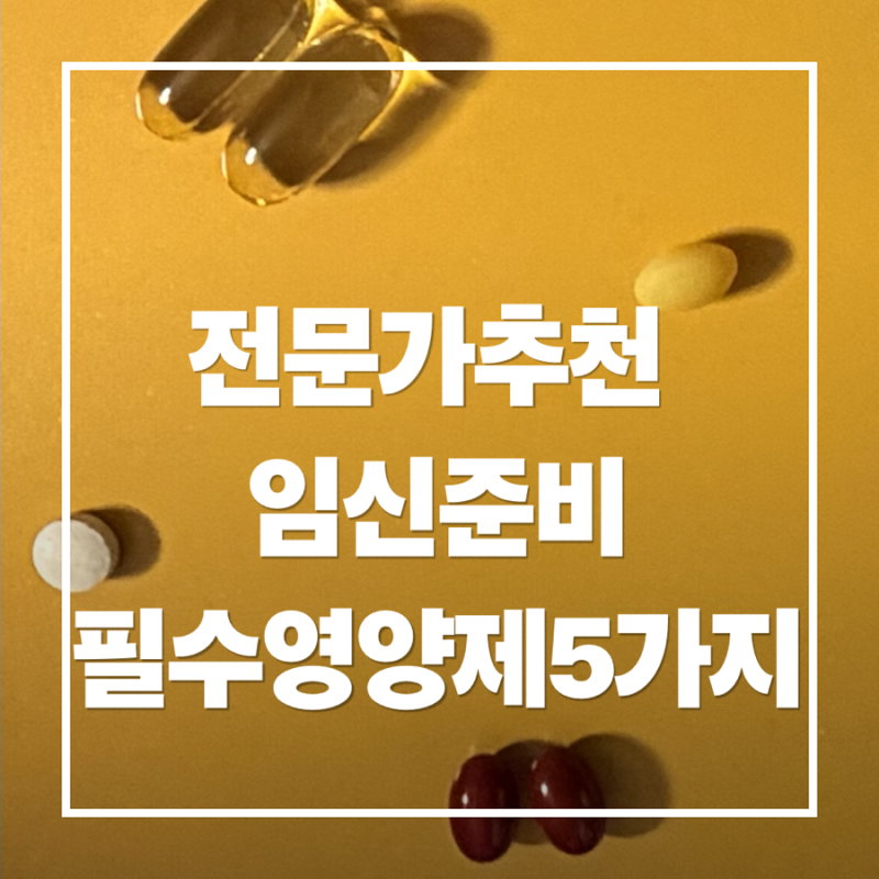 임신 준비 영양제 언제부터? 전문가 추천 필수 5가지 (활성형 엽산, 코큐텐, D3K2, 오메가3, 조....