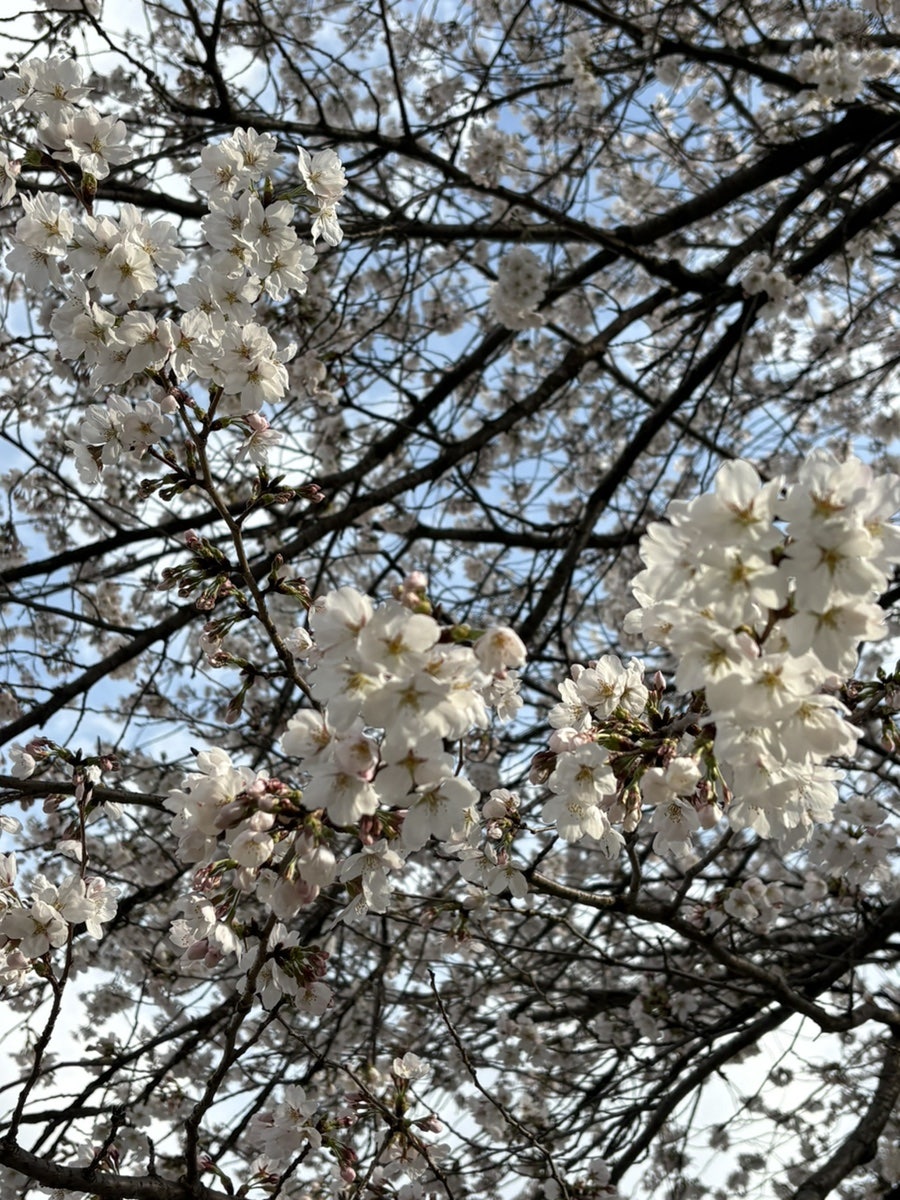 모학촌 사진 4