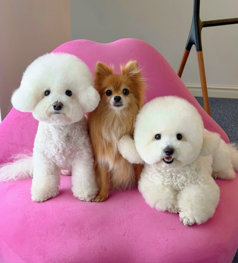 사진 6