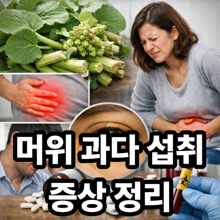  머위 과다 섭취 시 나타나는 증상, 꼭 알아야 할 건강 주의사항