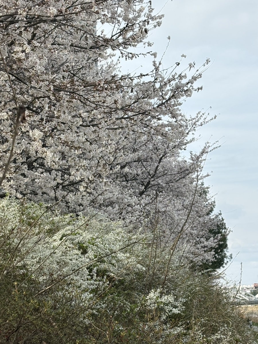 모학촌 사진 3