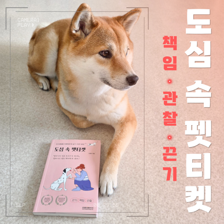  도심 속 펫티켓 서평: 책임, 관찰, 끈기라는 세 단어 앞에서