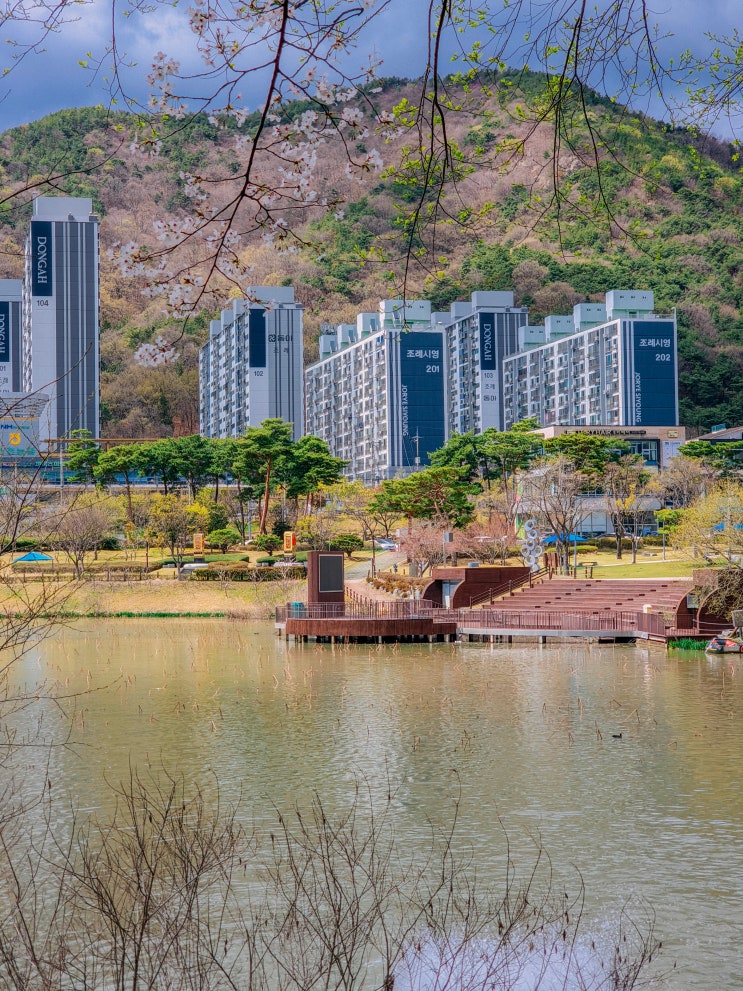  순천 벚꽃 명소, 조례호수공원(주차장)