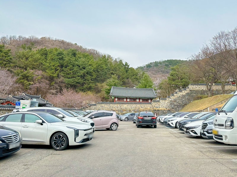 사진 7