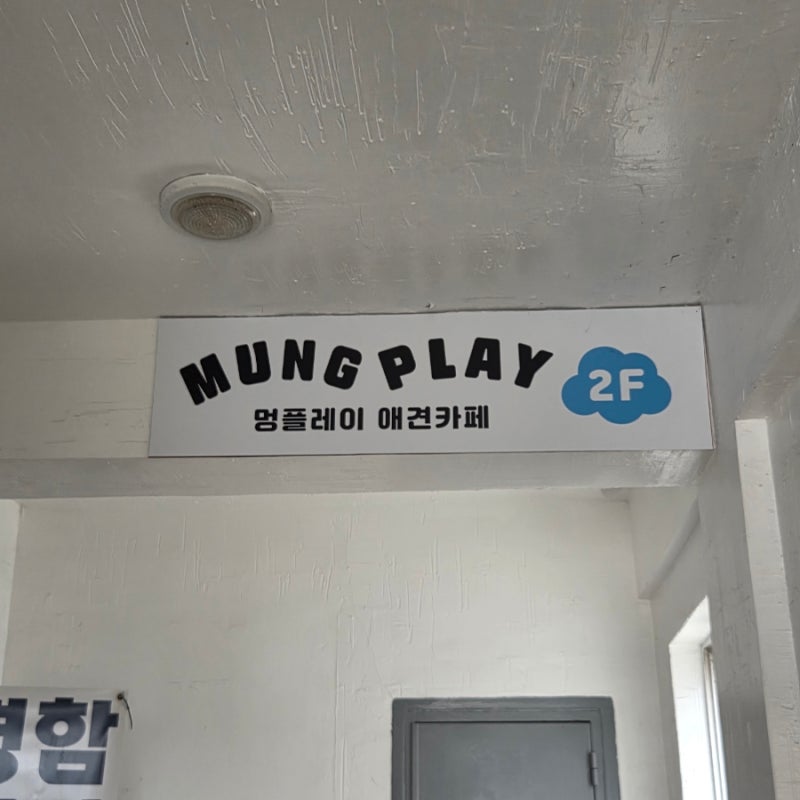 사진 2