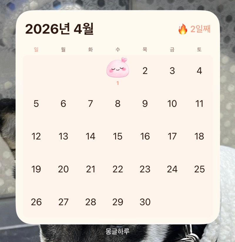 아이폰 위젯 꾸미기 어플 추천 | 캘린더 앱·달력 추천·잠금 화면