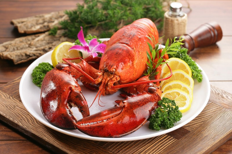용인와이페이 혜택 100% 활용 가이드: 캐시백, 사용처, 신청 방법, 잔액 조회까지 완벽 정리!