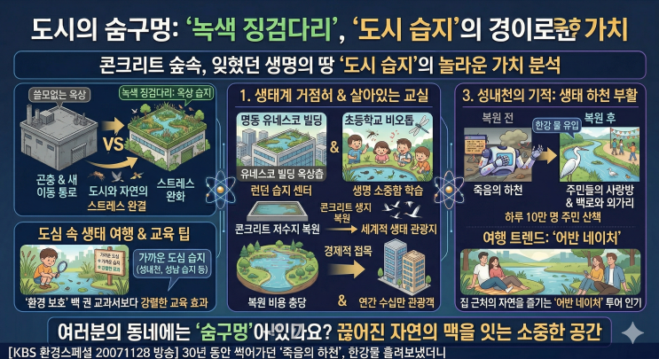  "죽은 하천에 한강물을 흘려보냈더니?" 서울 한복판에서 일어난 '성내천'의 기적