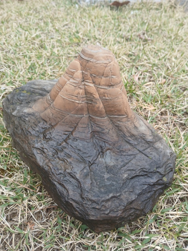  자연석 수석,산수경석 'Viewing Stone'