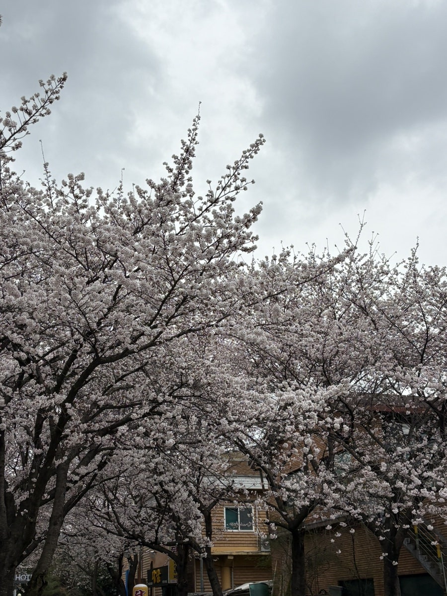 모학촌 사진 6