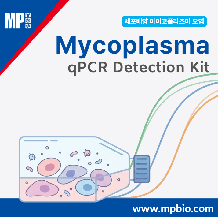  세포배양 마이코플라스마 검사, 2시간 내 확인 가능한 Myco-Visible Mycoplasma qPCR Detection Kit