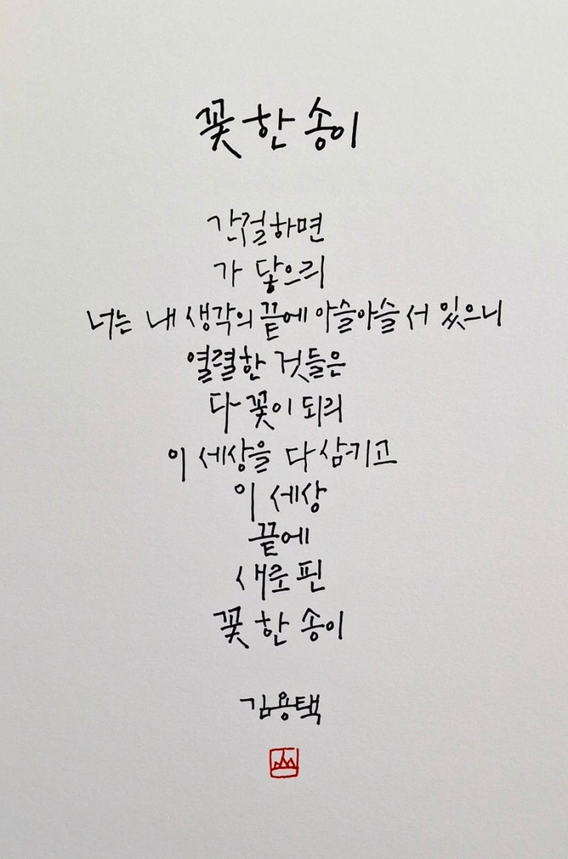 김용택 시인ㅡ꽃 한 송이/ 하루