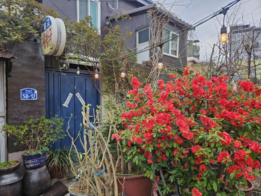 남도벌교재첩국 사진 4