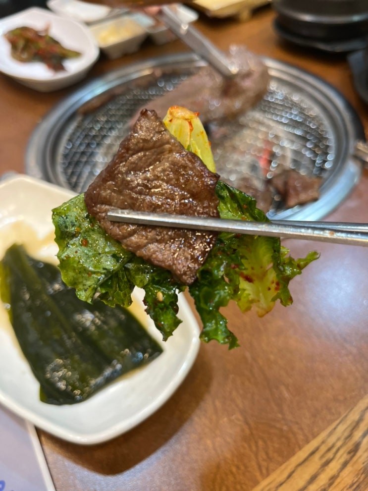  대전 한우 맛집 추천 한밭수목원 근처 총체보리한우 대전점 방문 후기