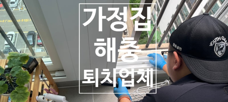 가정집 해충퇴치, 미세한 먼지벌레 방역까지 가능한 전문업체