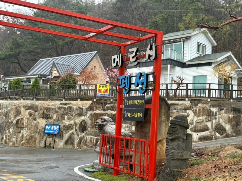 사진 5