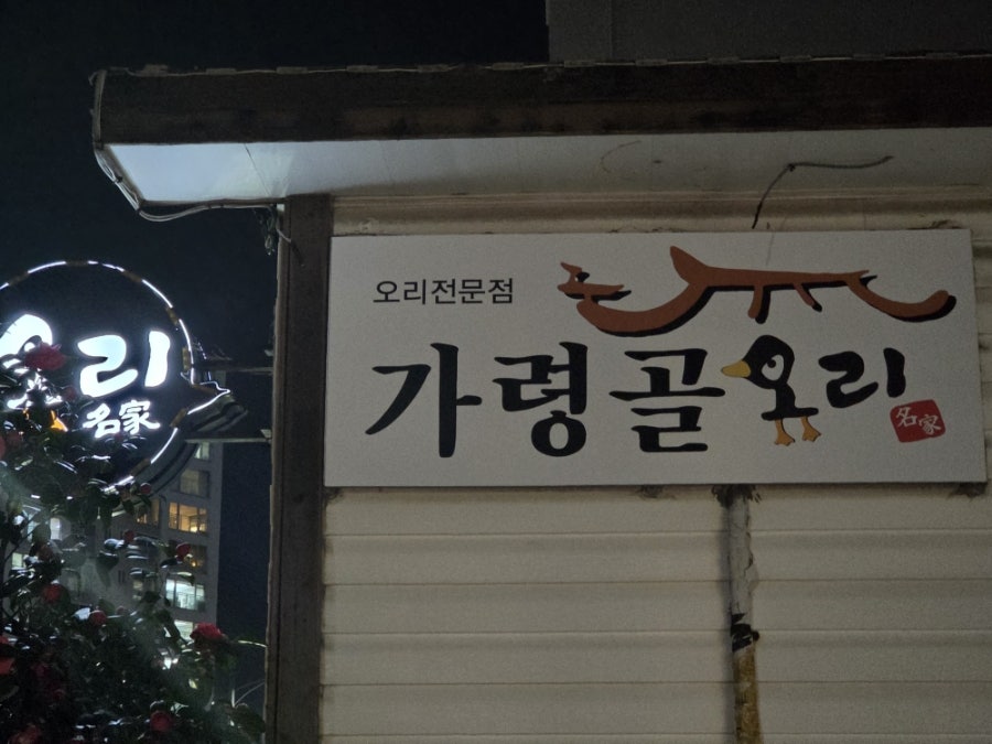 가령골오리 사진 6
