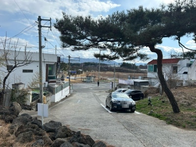 사진 7
