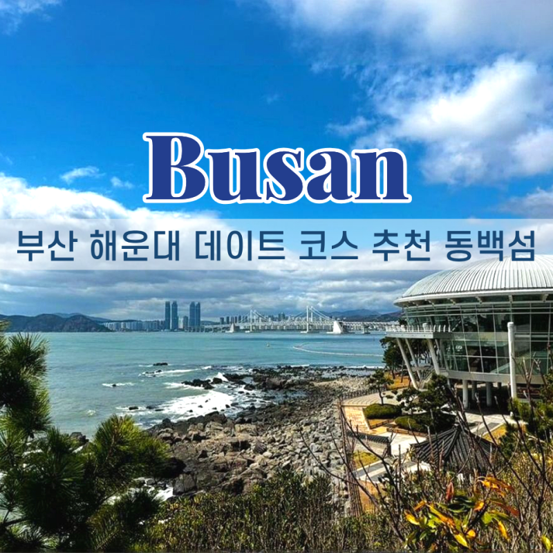 사진 9