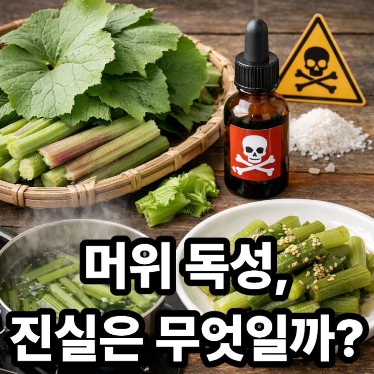  머위 독성 논란, 안전하게 먹는 방법 완벽 정리