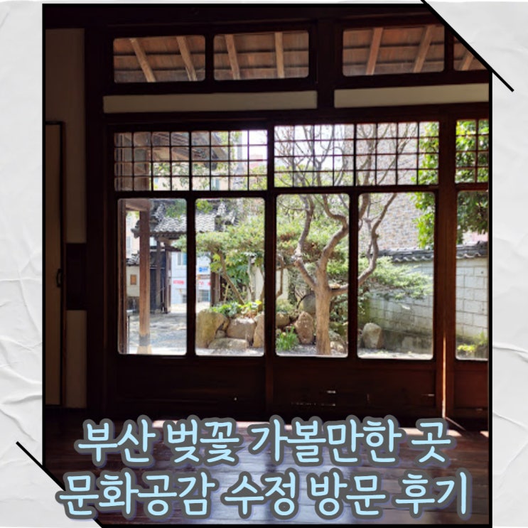  부산 벚꽃 가볼만한 곳  문화공감 수정(구, 정란각) 방문 후기